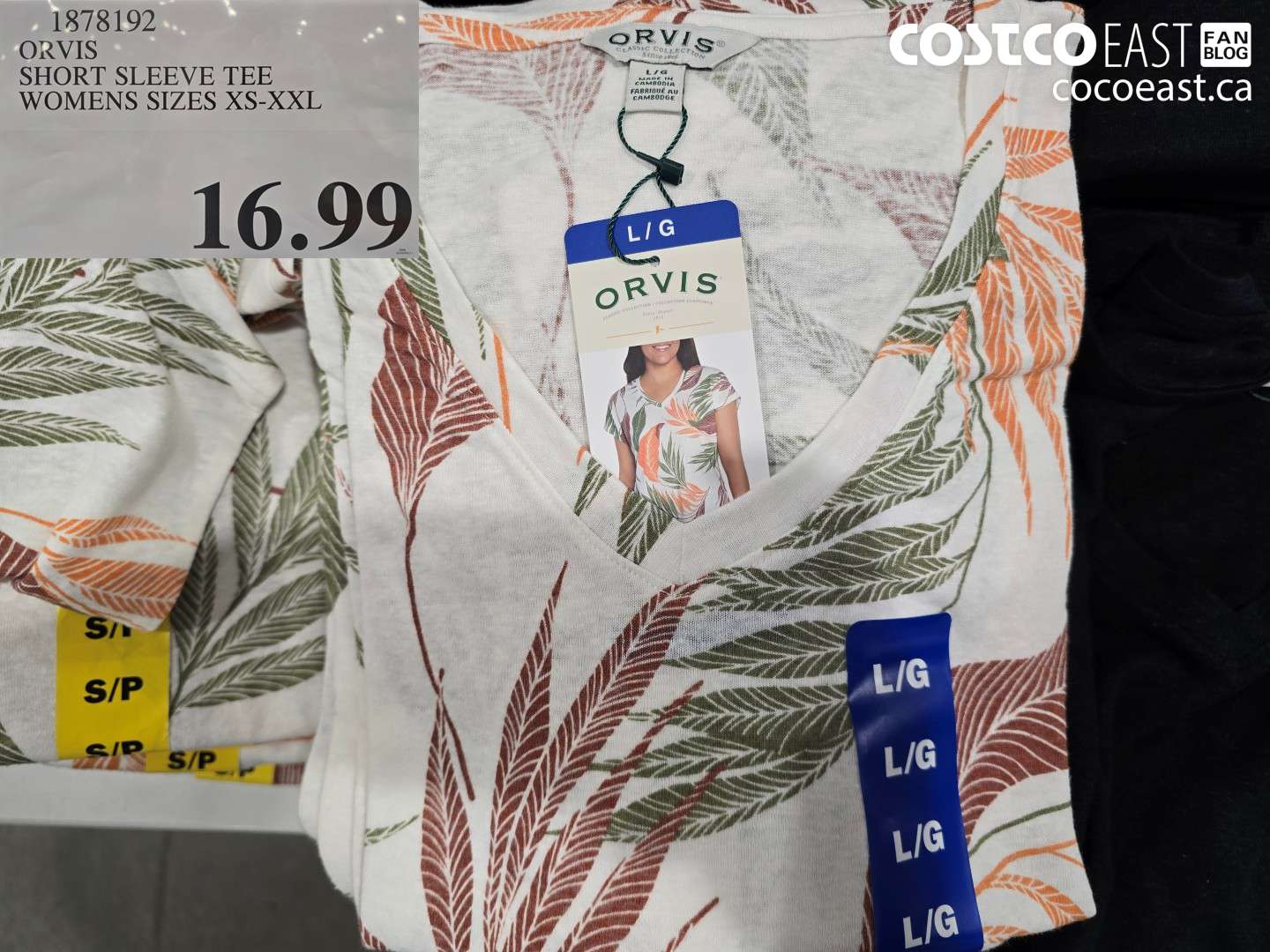 1878192 ORVIS SHORT SLEEVE TEE WOMENS SIZES XS-XXL $16.99