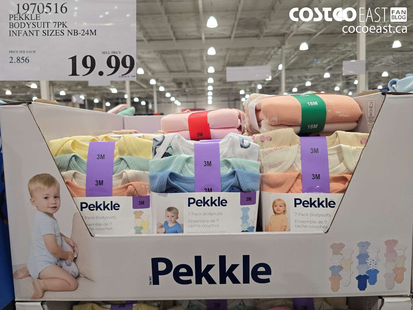 1970516 PEKKLE BODYSUIT 7PK INFANT SIZES NB-24M $19.99