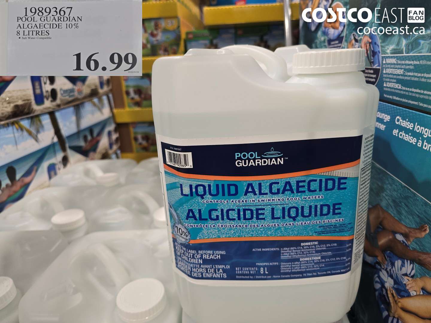 1989367 POOL GUARDIAN ALGAECIDE 10% 8 LITRES $16.99