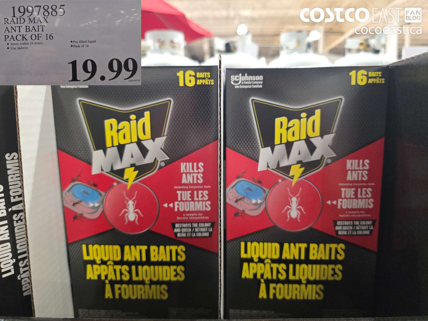 1997885 RAID MAX ANT BAIT PACK OF 16 $19.99