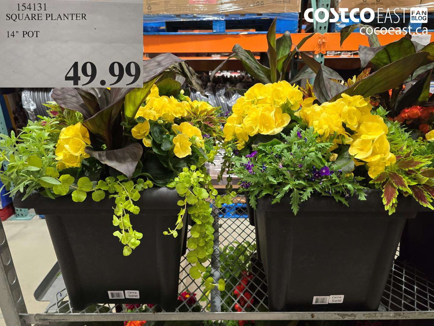 154131 SQUARE PLANTER 14