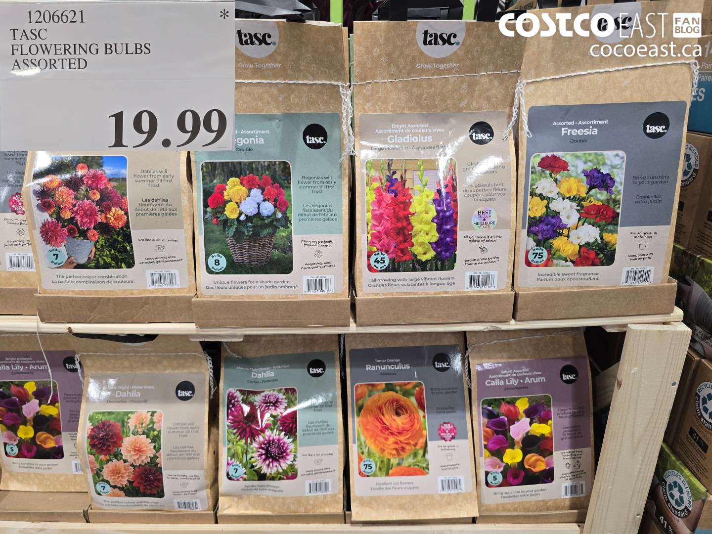 1206621 TASC FLOWERING BULBS ASSORTED $19.99