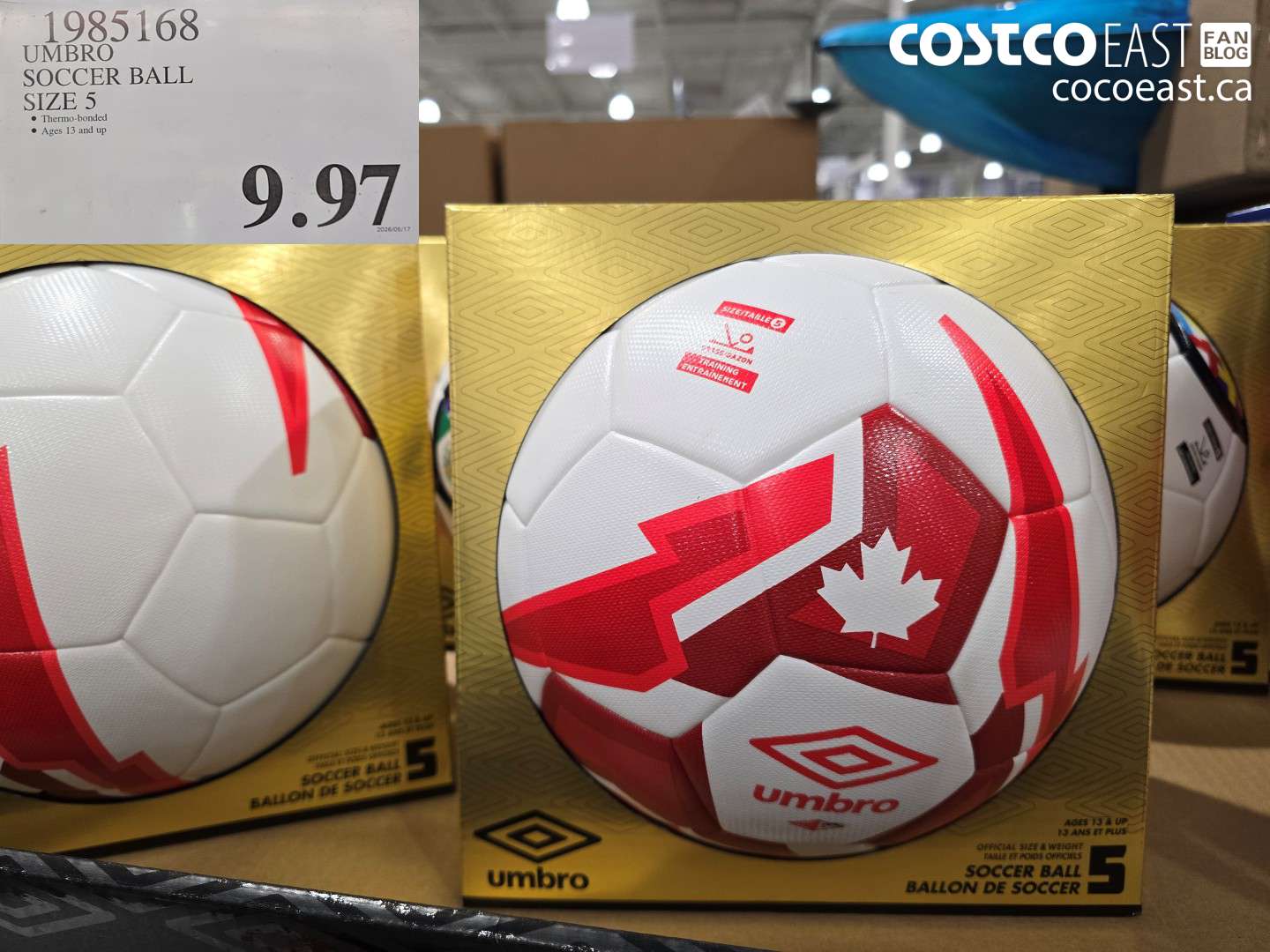 1985168 UMBRO SOCCER BALL SIZE 5 $9.97
