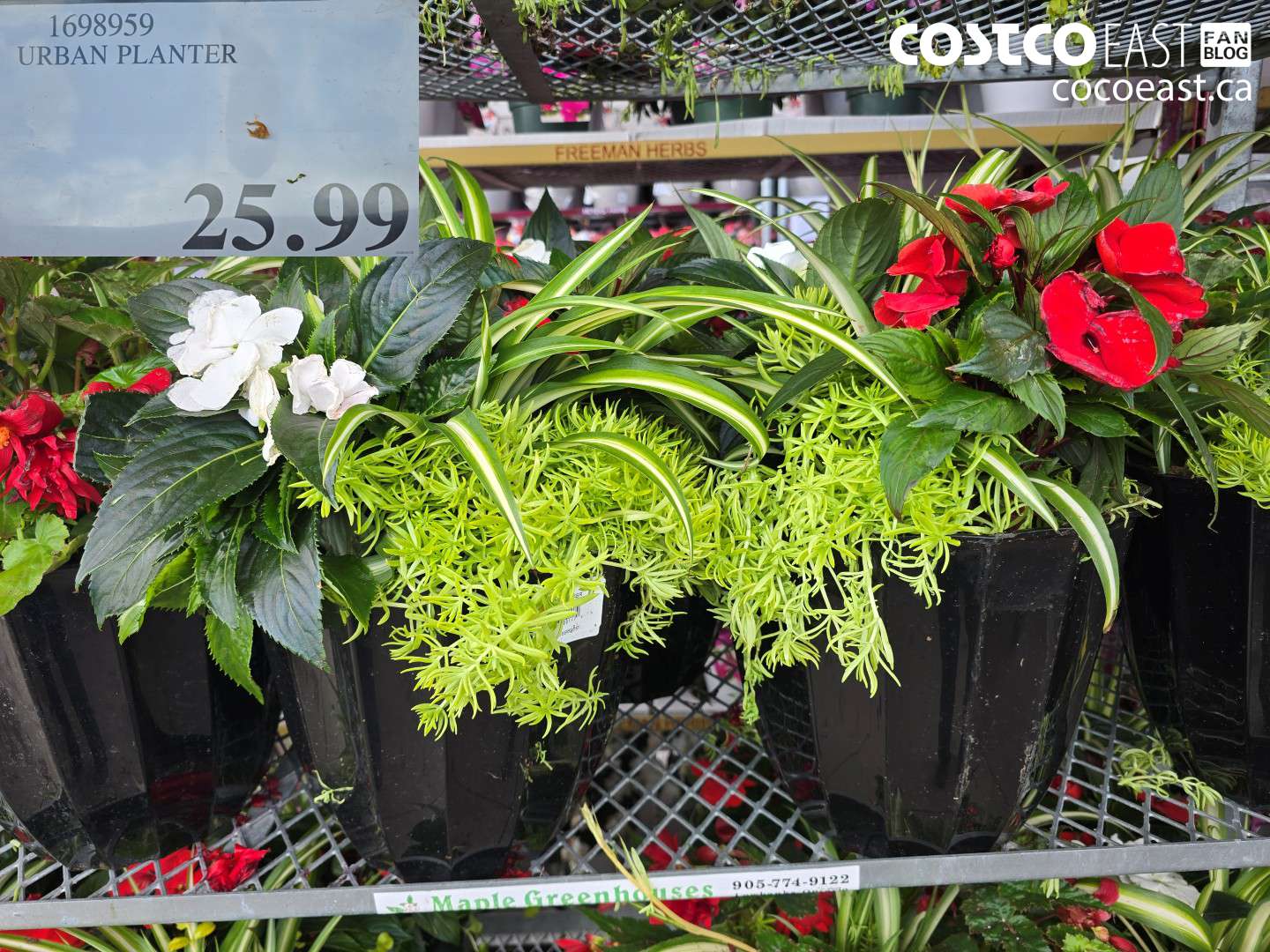 1698959 URBAN PLANTER $25.99