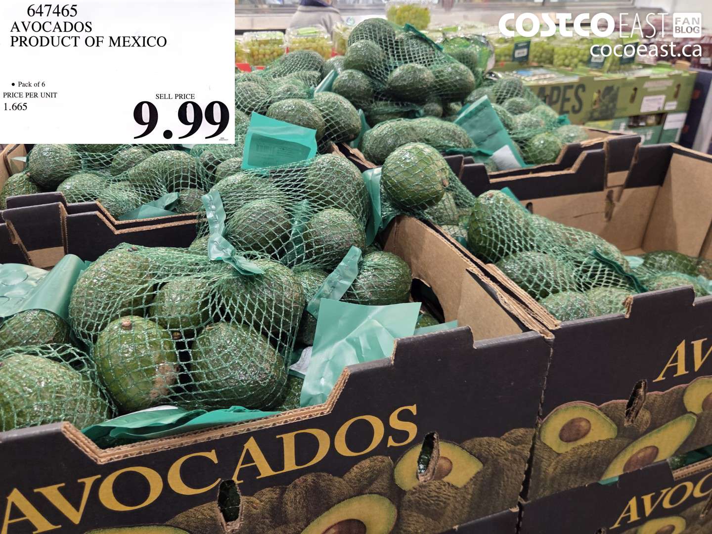 647465 AVOCADOS PRODUCT OF MEXICO $9.99