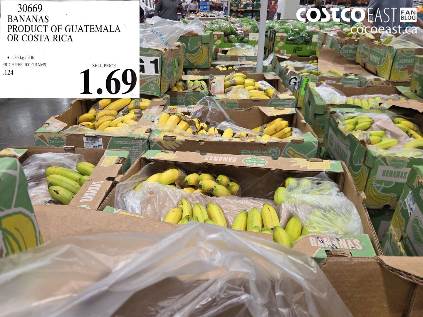30669 BANANAS PRODUCT OF GUATEMALA OR COSTA RICA $1.69