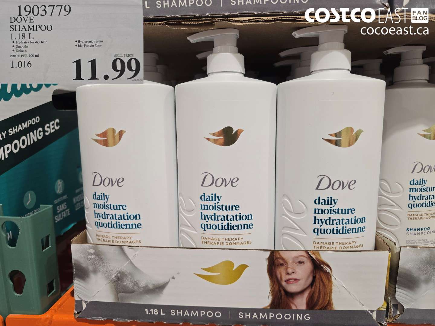 1903779 DOVE SHAMPOO 1.18 L $11.99