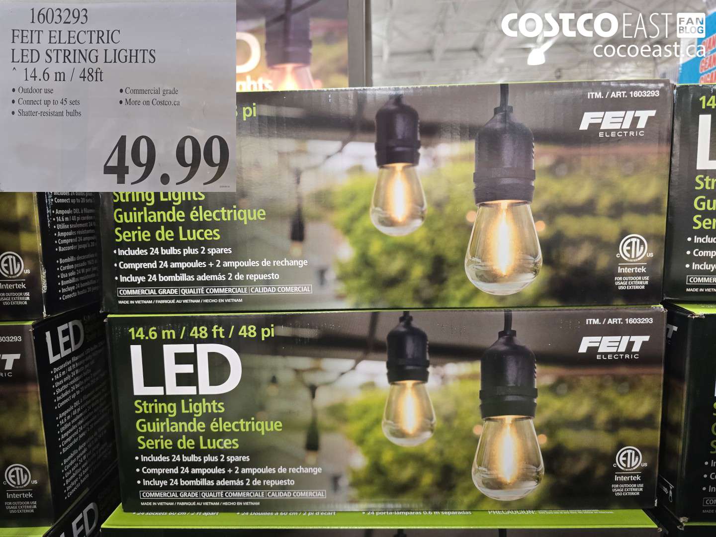 1603293 FEIT ELECTRIC LED STRING LIGHTS 14.6 M / 48FT $49.99