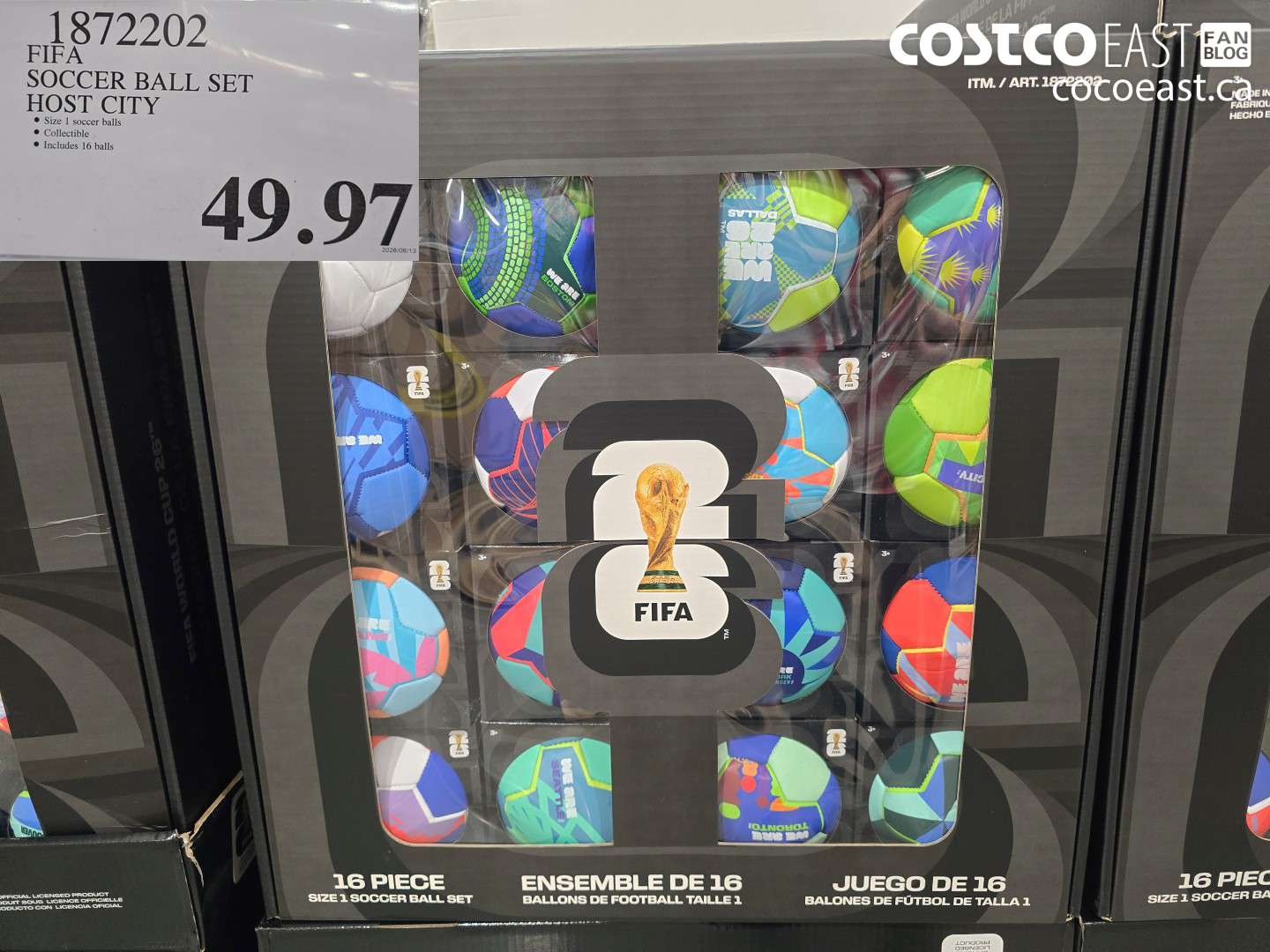 1872202 FIFA SOCCER BALL SET HOST CITY $49.97