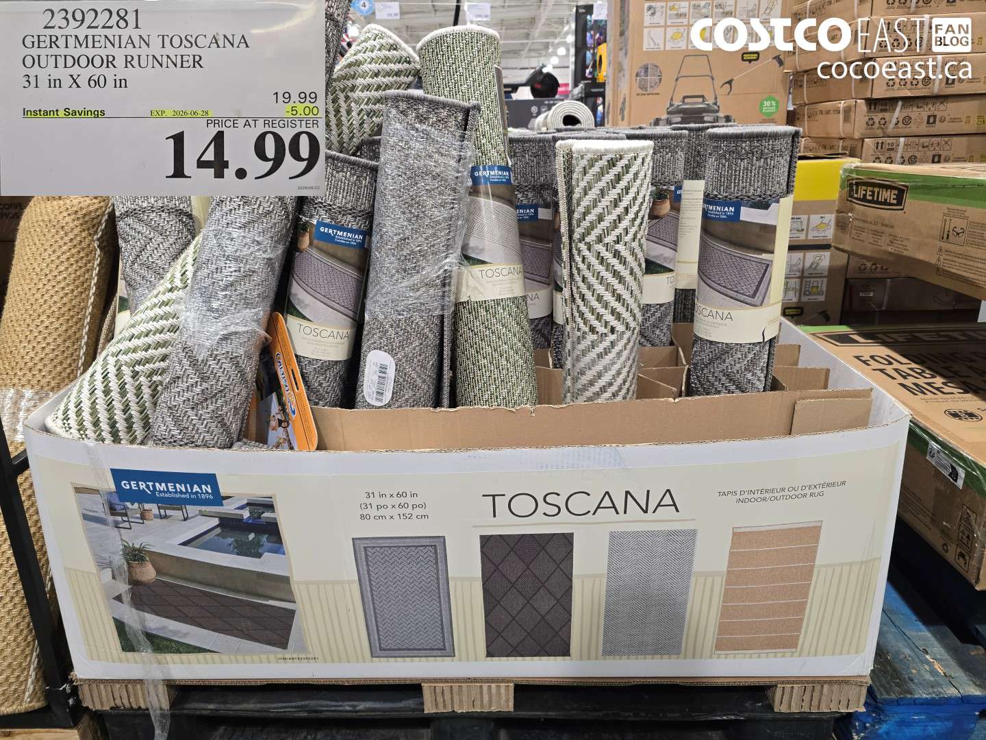 2392281 GERTMENIAN TOSCANA OUTDOOR RUNNER 31 IN X 60 IN ($5.00 INSTANT SAVINGS EXPIRES ON 2026-06-28) $14.99
