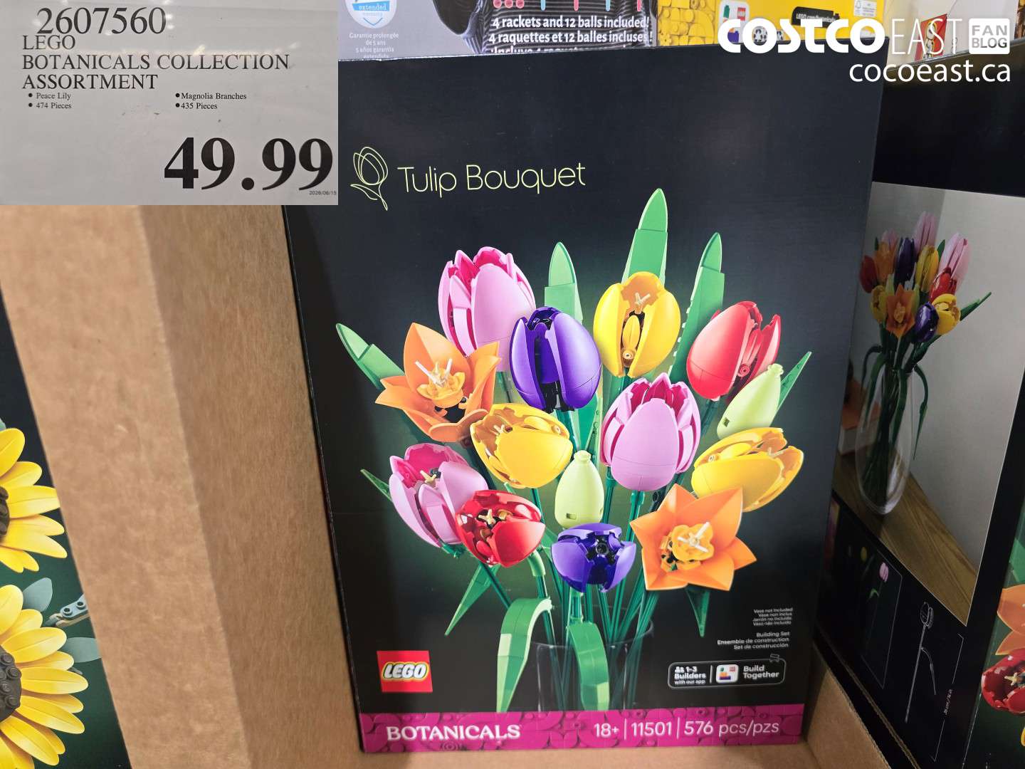 2607560 LEGO BOTANICALS COLLECTION ASSORTMENT $49.99