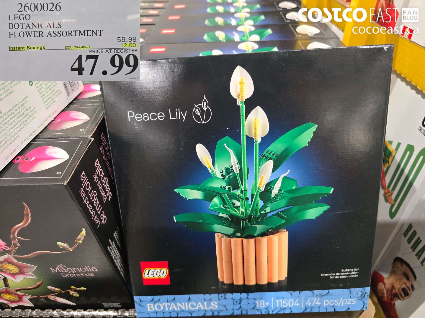 2600026 LEGO BOTANICALS FLOWER ASSORTMENT ($12.00 INSTANT SAVINGS EXPIRES ON 2026-06-21) $47.99