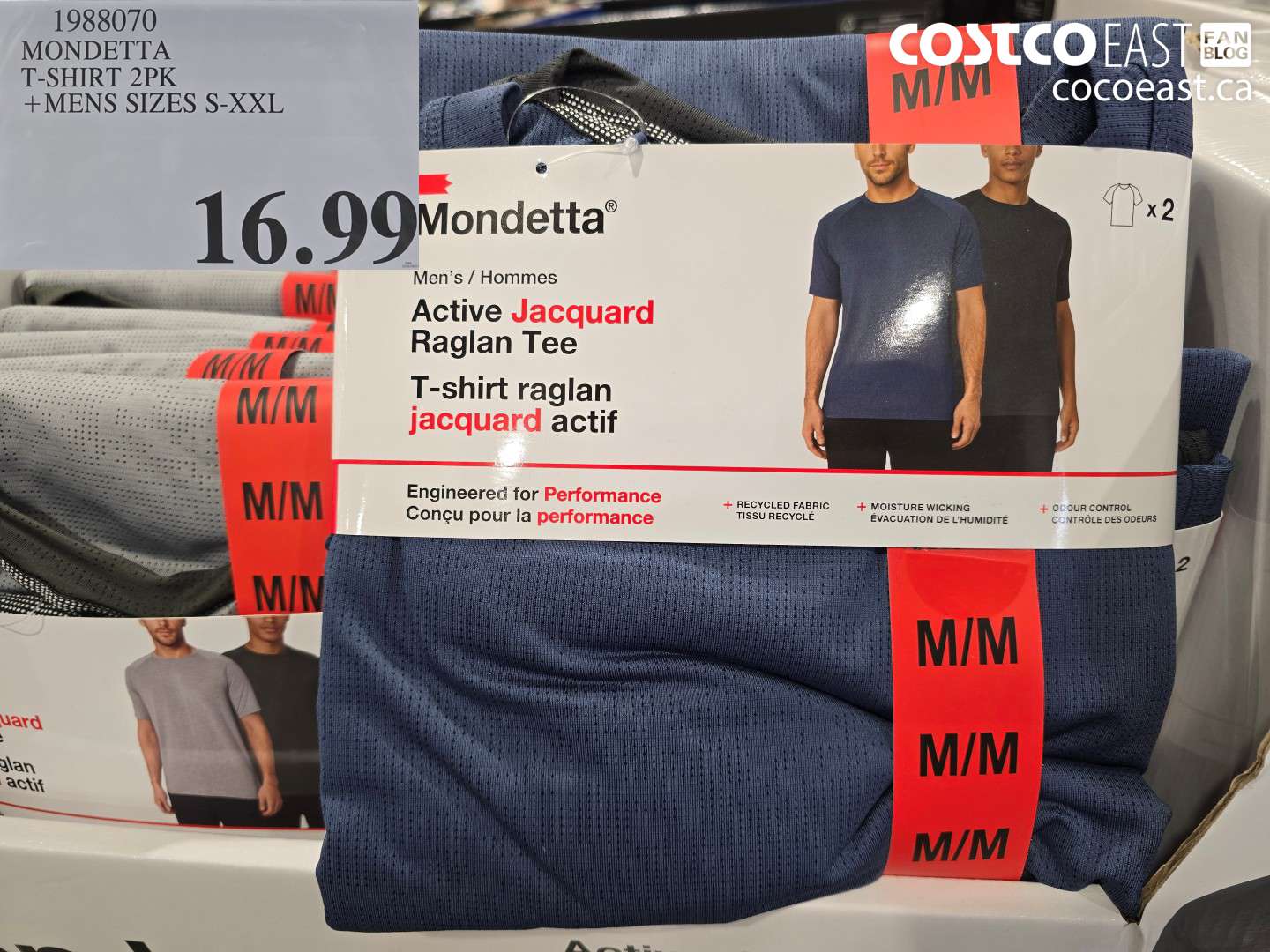 1988070 MONDETTA T-SHIRT 2PK + MENS SIZES S-XXL $16.99