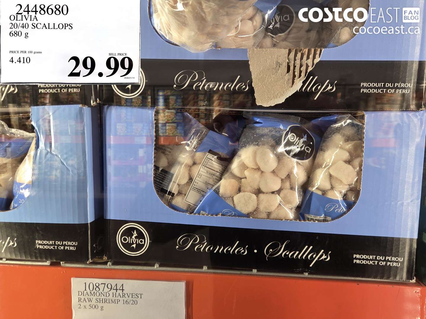 2448680 OLIVIA 20/40 SCALLOPS 680 G $29.99
