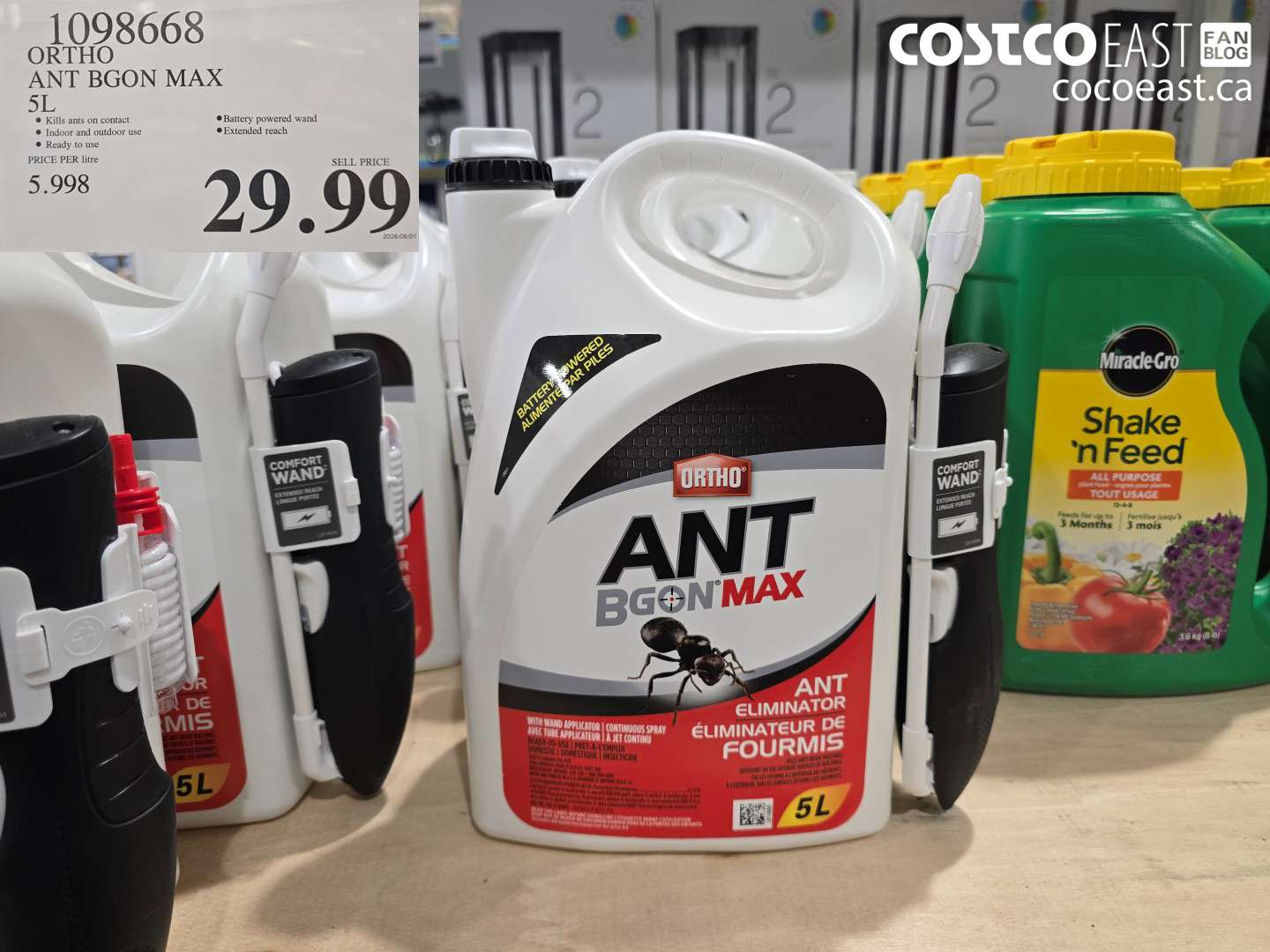 1098668 ORTHO ANT BGON MAX 5L $29.99