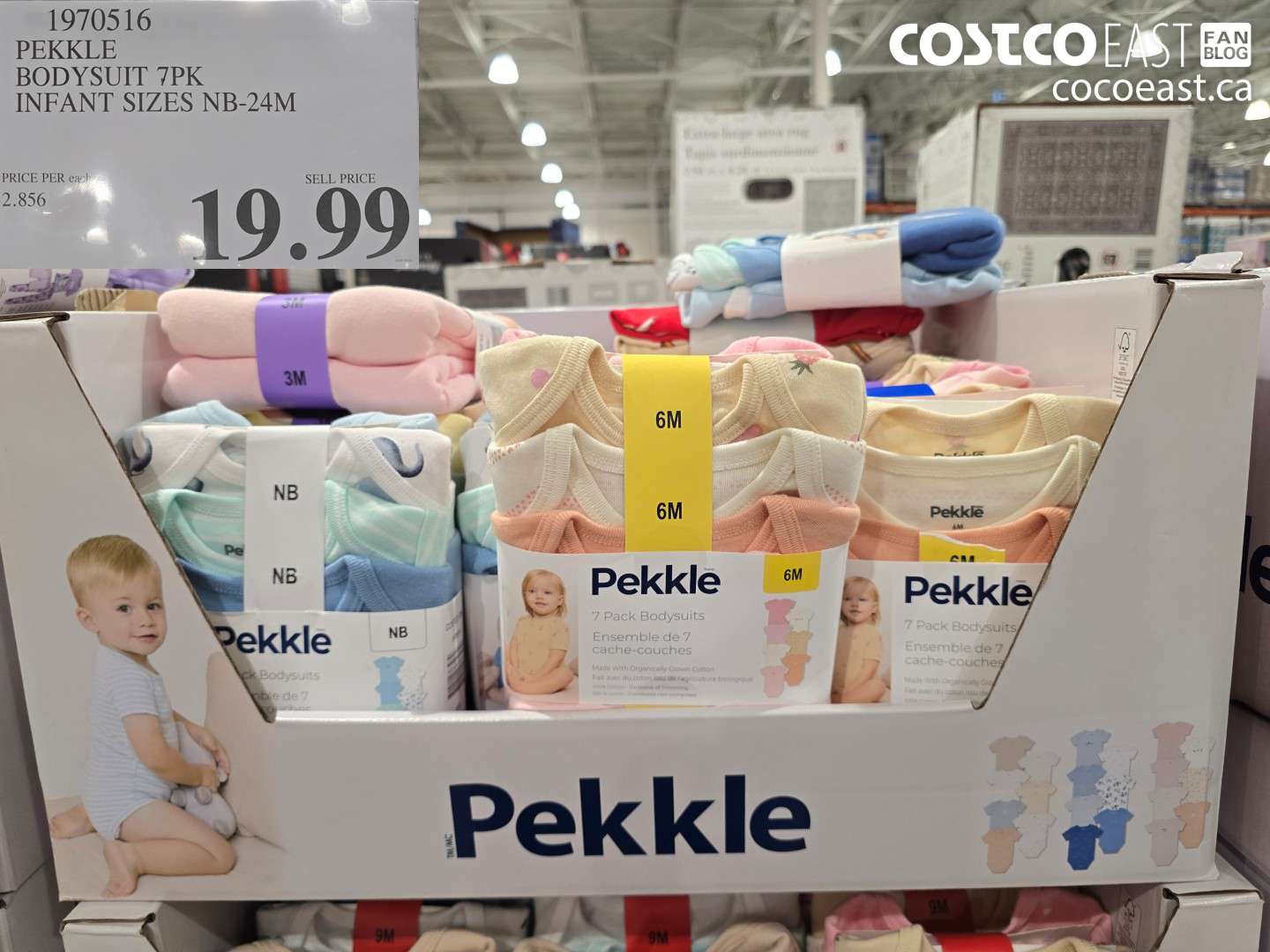 1970516 PEKKLE BODYSUIT 7PK INFANT SIZES NB-24M $19.99