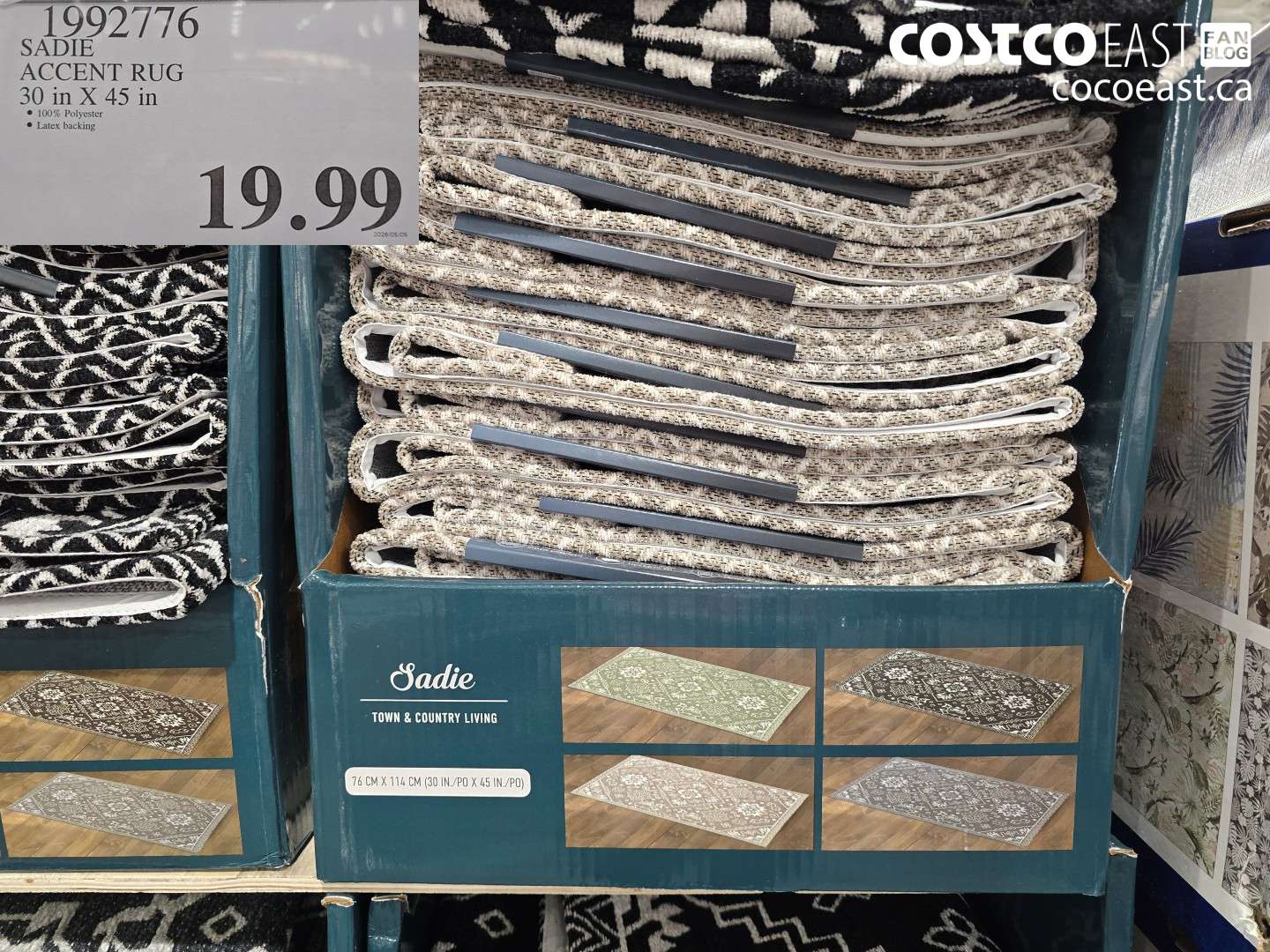 1992776 SADIE ACCENT RUG 30 IN X 45 IN $19.99