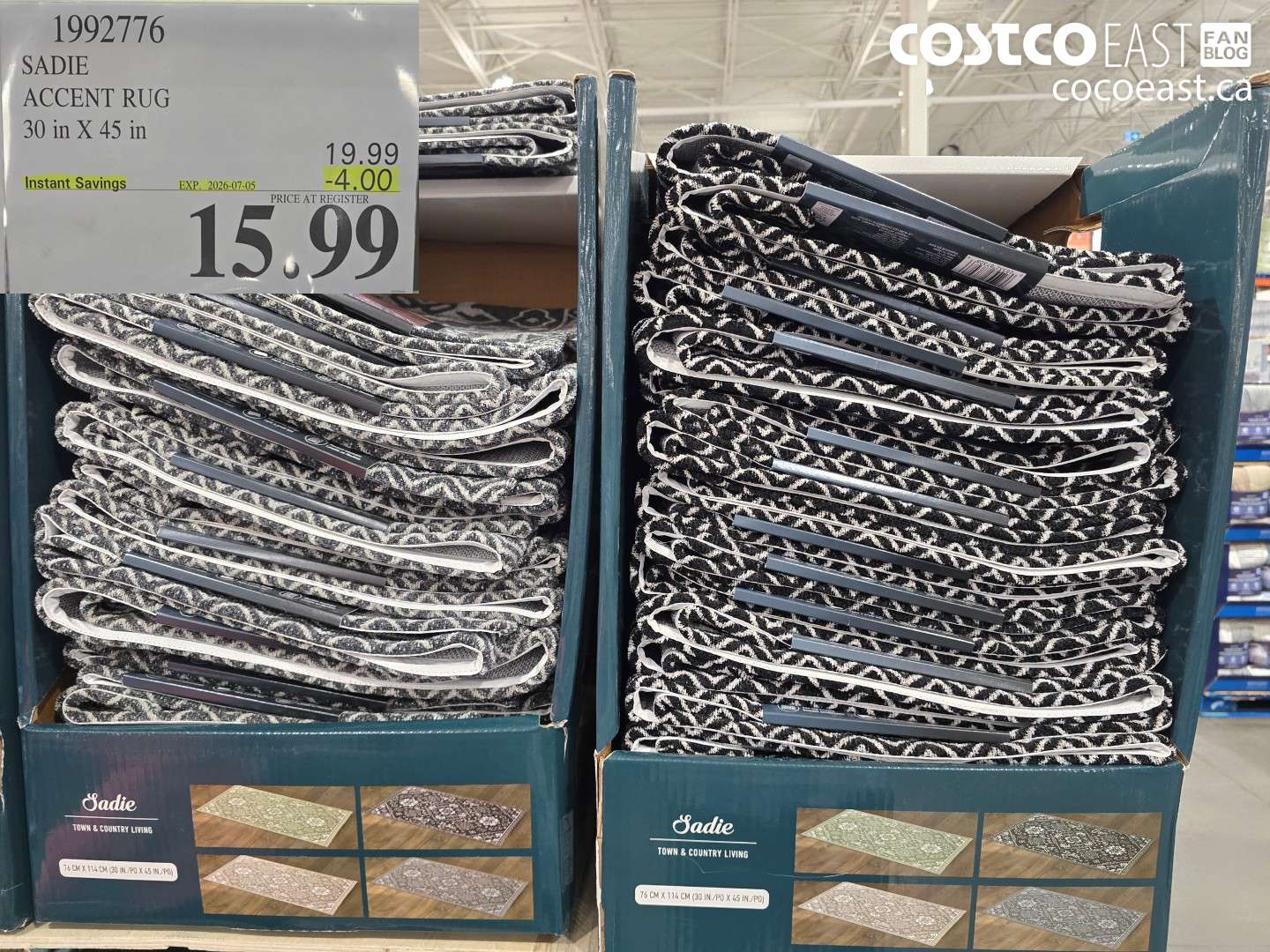 1992776 SADIE ACCENT RUG 30 IN X 45 IN ($4.00 INSTANT SAVINGS EXPIRES ON 2026-07-05) $15.99