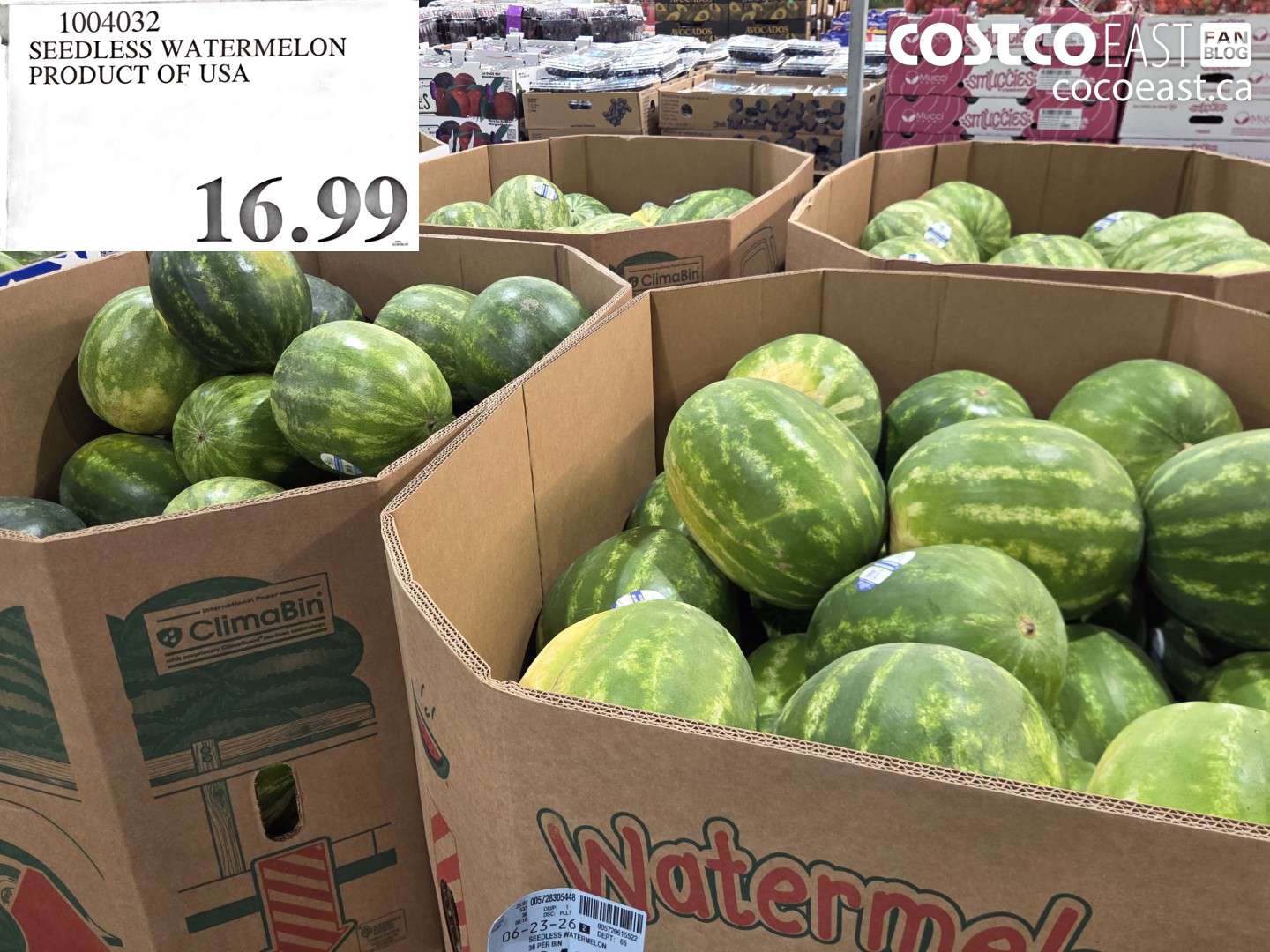 1004032 SEEDLESS WATERMELON PRODUCT OF USA $16.99