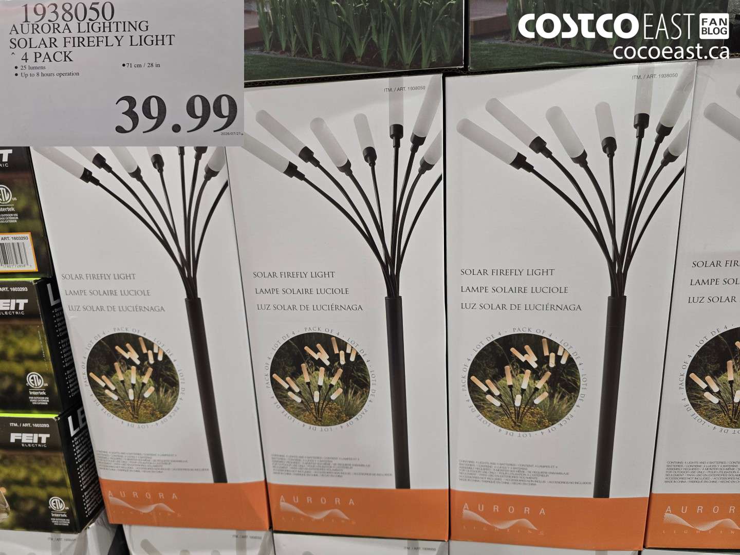 1938050 AURORA LIGHTING SOLAR FIREFLY LIGHT 4 PACK $39.99