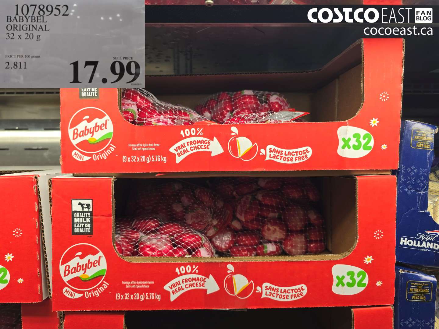 1078952 BABYBEL ORIGINAL 32 X 20 G $17.99