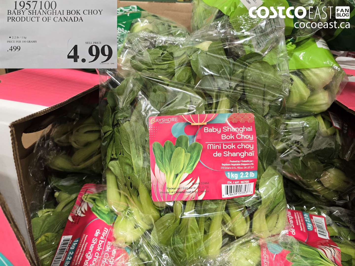 1957100 BABY SHANGHAI BOK CHOY PRODUCT OF CANADA $4.99