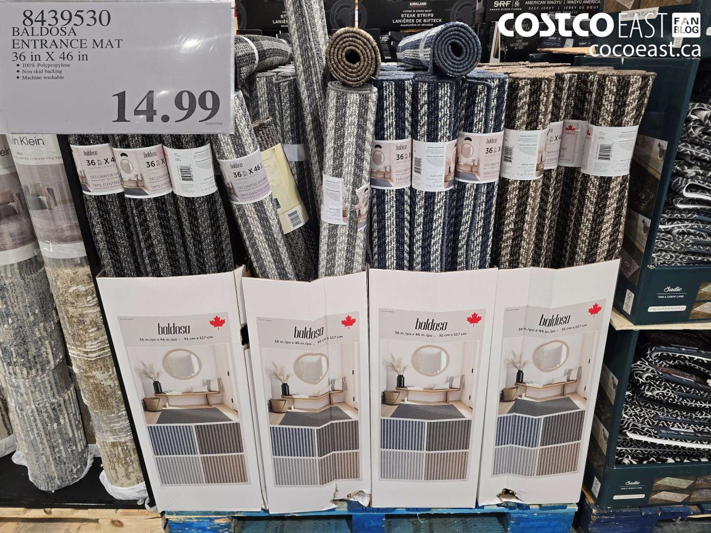 8439530 BALDOSA ENTRANCE MAT 36 IN X 46 IN $14.99