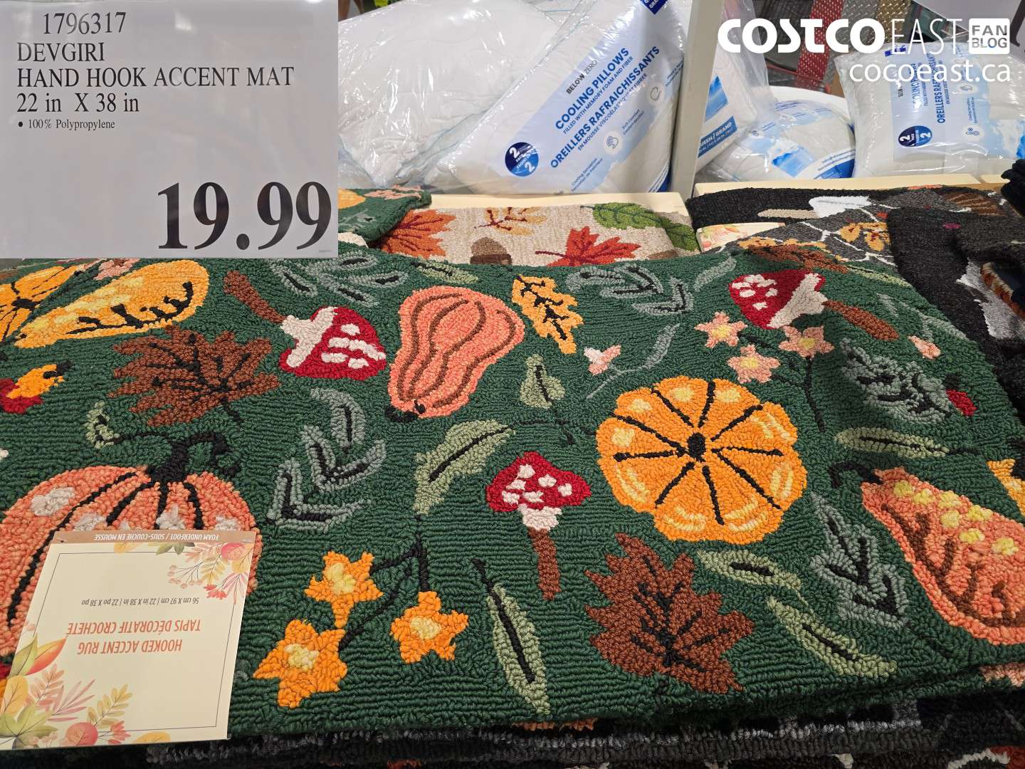1796317 DEVGIRI HAND HOOK ACCENT MAT 22 IN X 38 IN $19.99