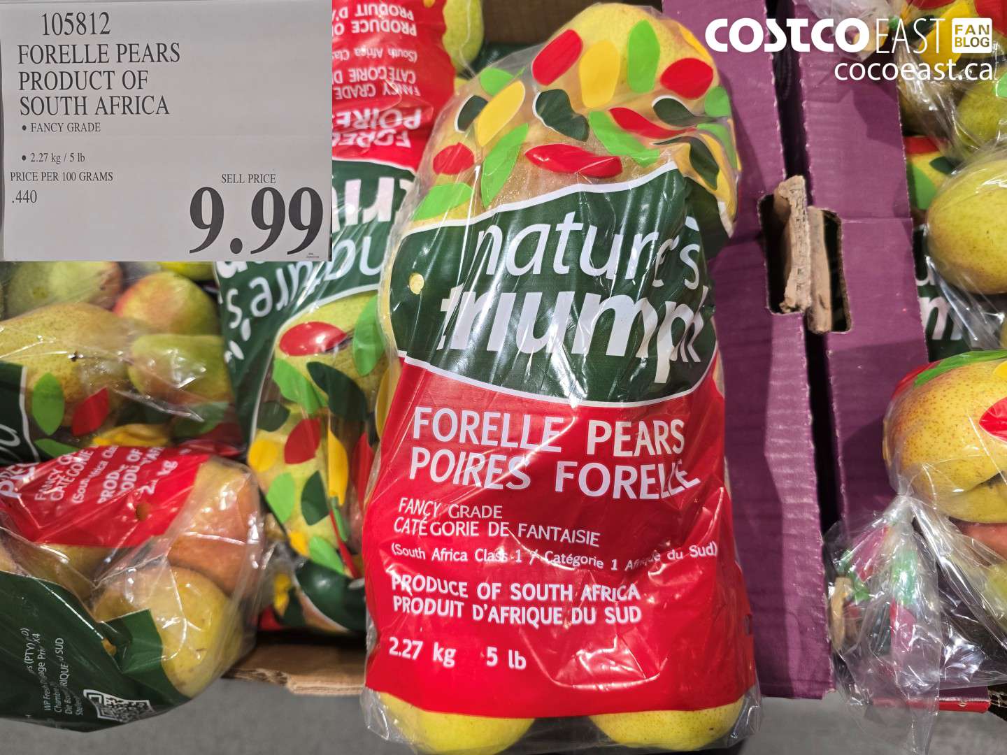 105812 FORELLE PEARS PRODUCT OF SOUTH AFRICA 2.27 KG / 5 LB $9.99