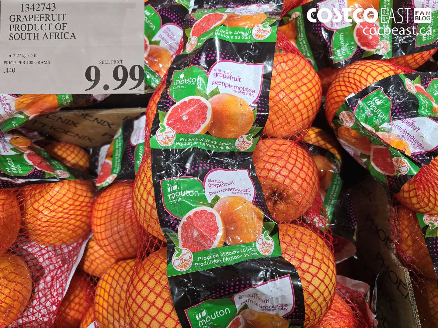 1342743 GRAPEFRUIT PRODUCT OF SOUTH AFRICA $9.99