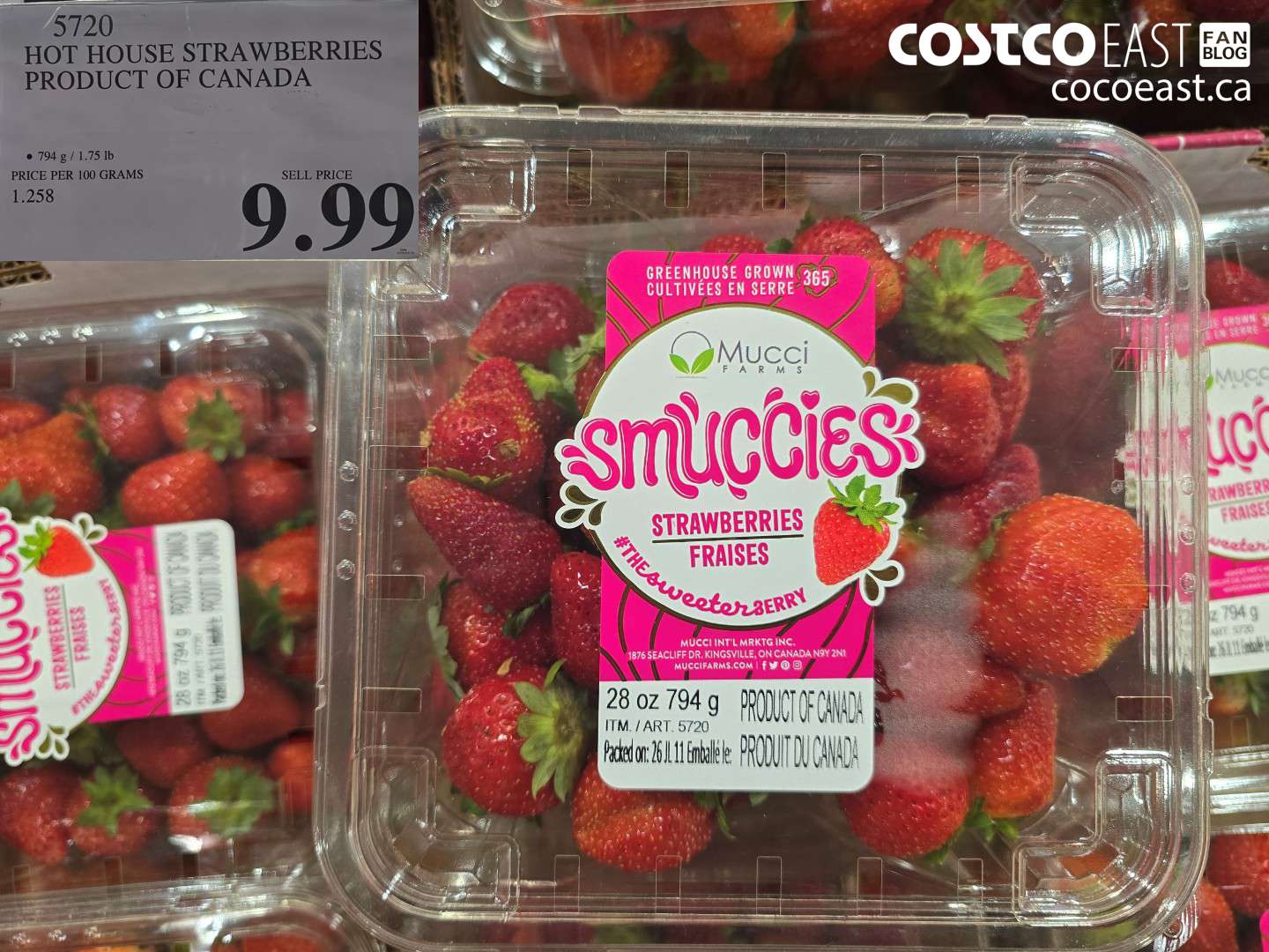 5720 HOT HOUSE STRAWBERRIES PRODUCT OF CANADA $9.99