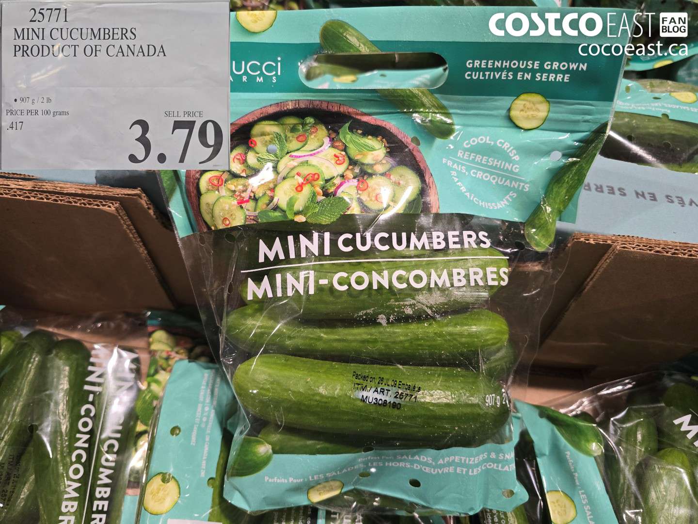 25771 MINI CUCUMBERS PRODUCT OF CANADA $3.79
