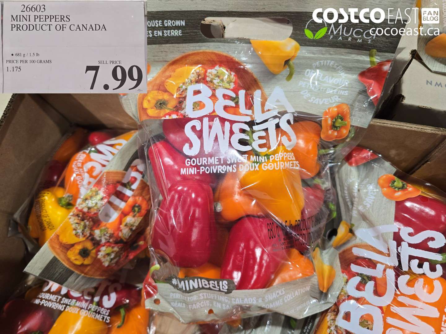 26603 MINI PEPPERS PRODUCT OF CANADA $7.99