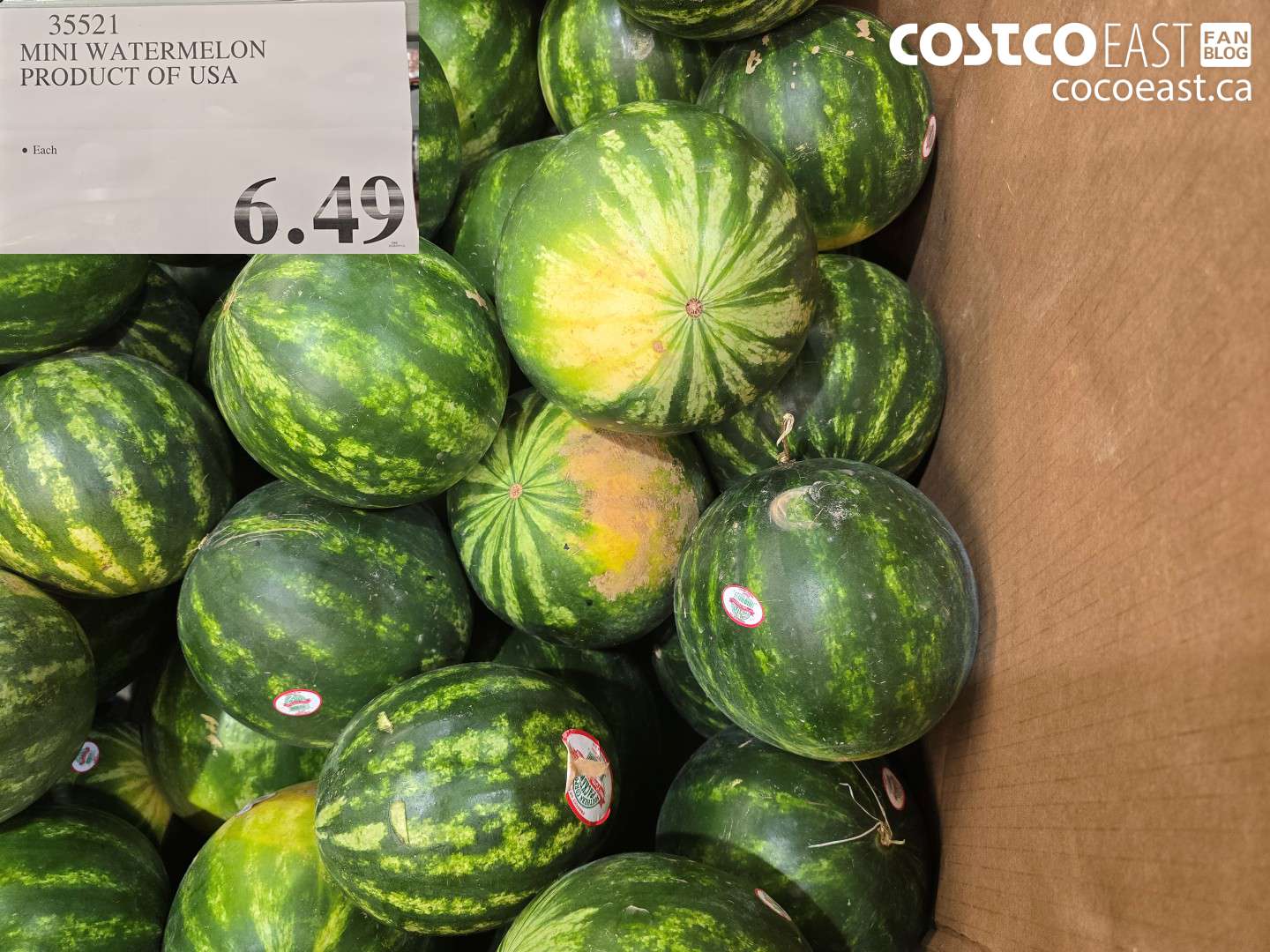 35521 MINI WATERMELON PRODUCT OF USA $6.49