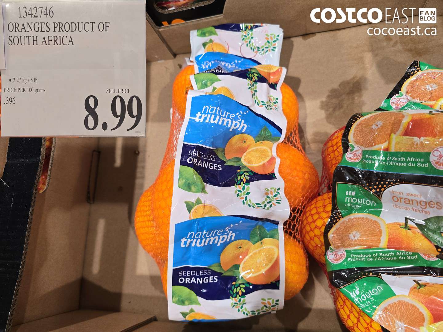 1342746 ORANGES PRODUCT OF SOUTH AFRICA $8.99