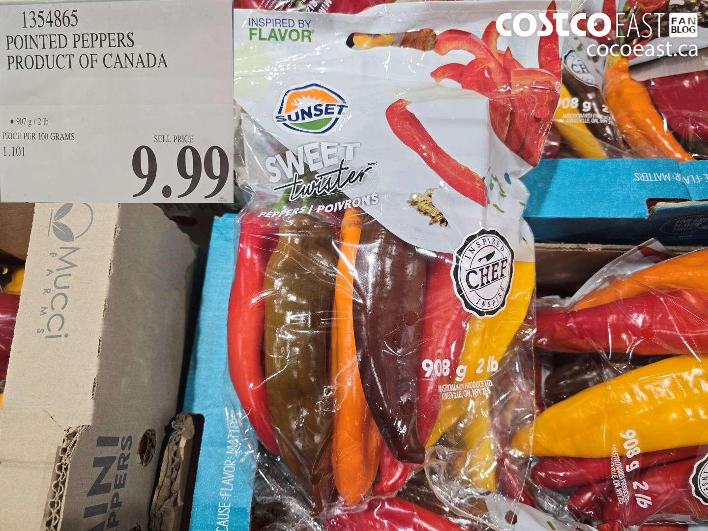 1354865 POINTED PEPPERS PRODUCT OF CANADA $9.99