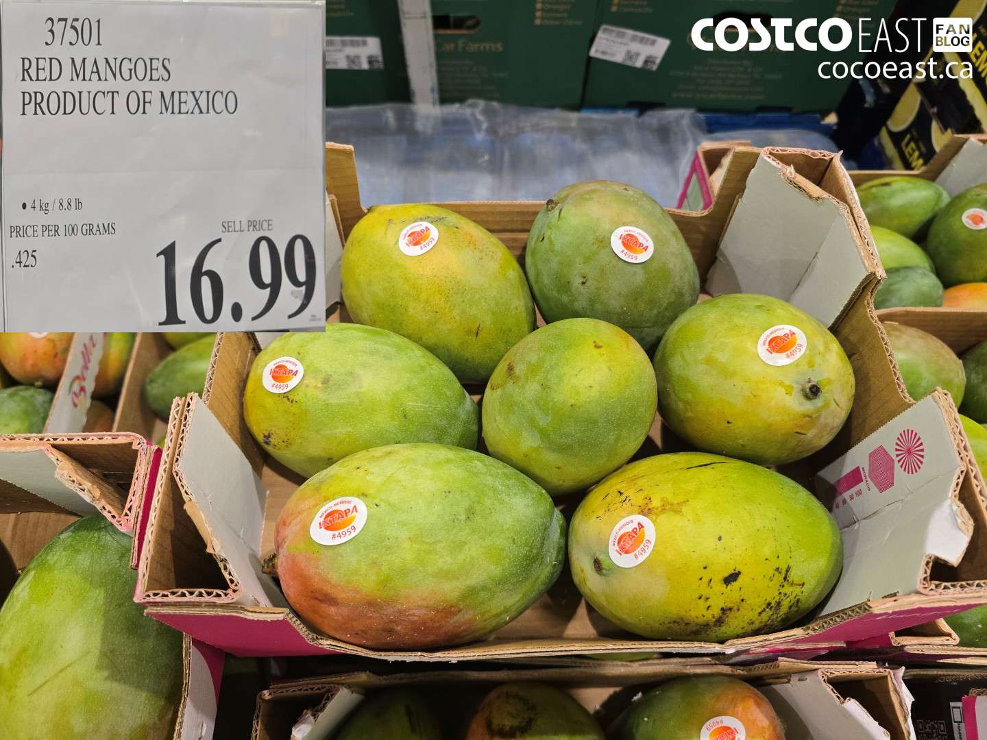 37501 RED MANGOES PRODUCT OF MEXICO $16.99