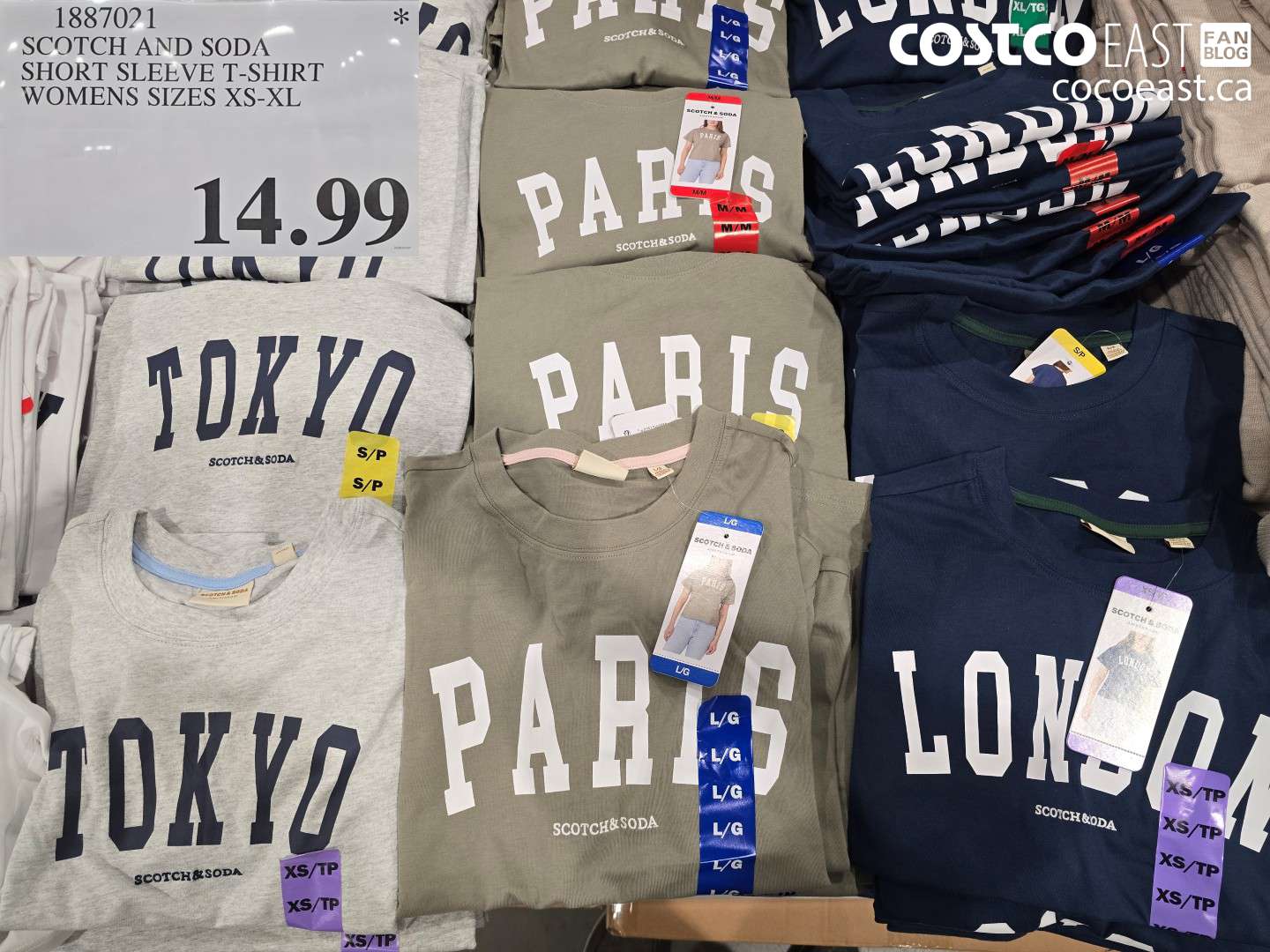 1887021 SCOTCH AND SODA SHORT SLEEVE T-SHIRT WOMENS SIZES XS-XL $14.99