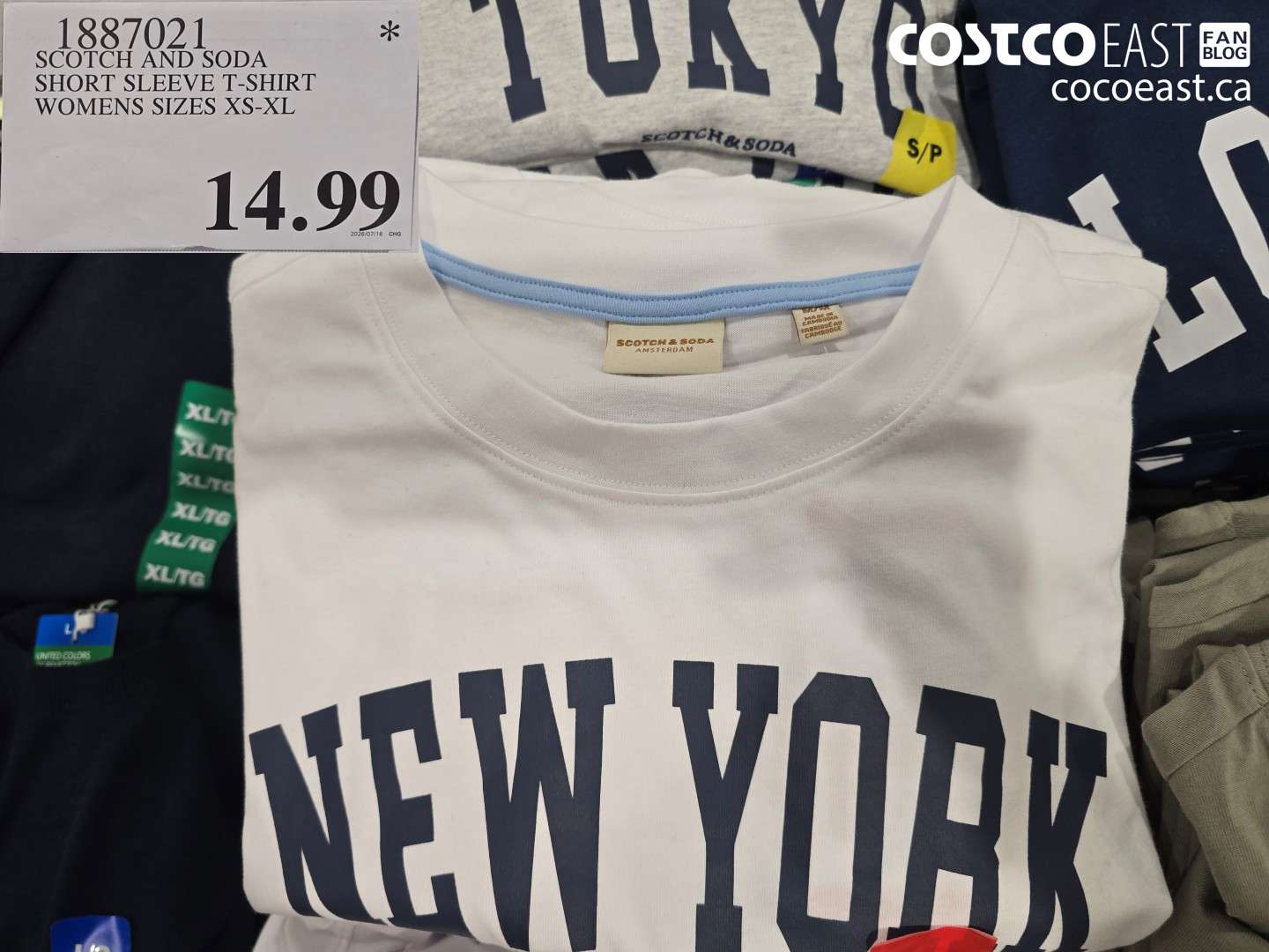 1887021 SCOTCH AND SODA SHORT SLEEVE T-SHIRT WOMENS SIZES XS-XL $14.99