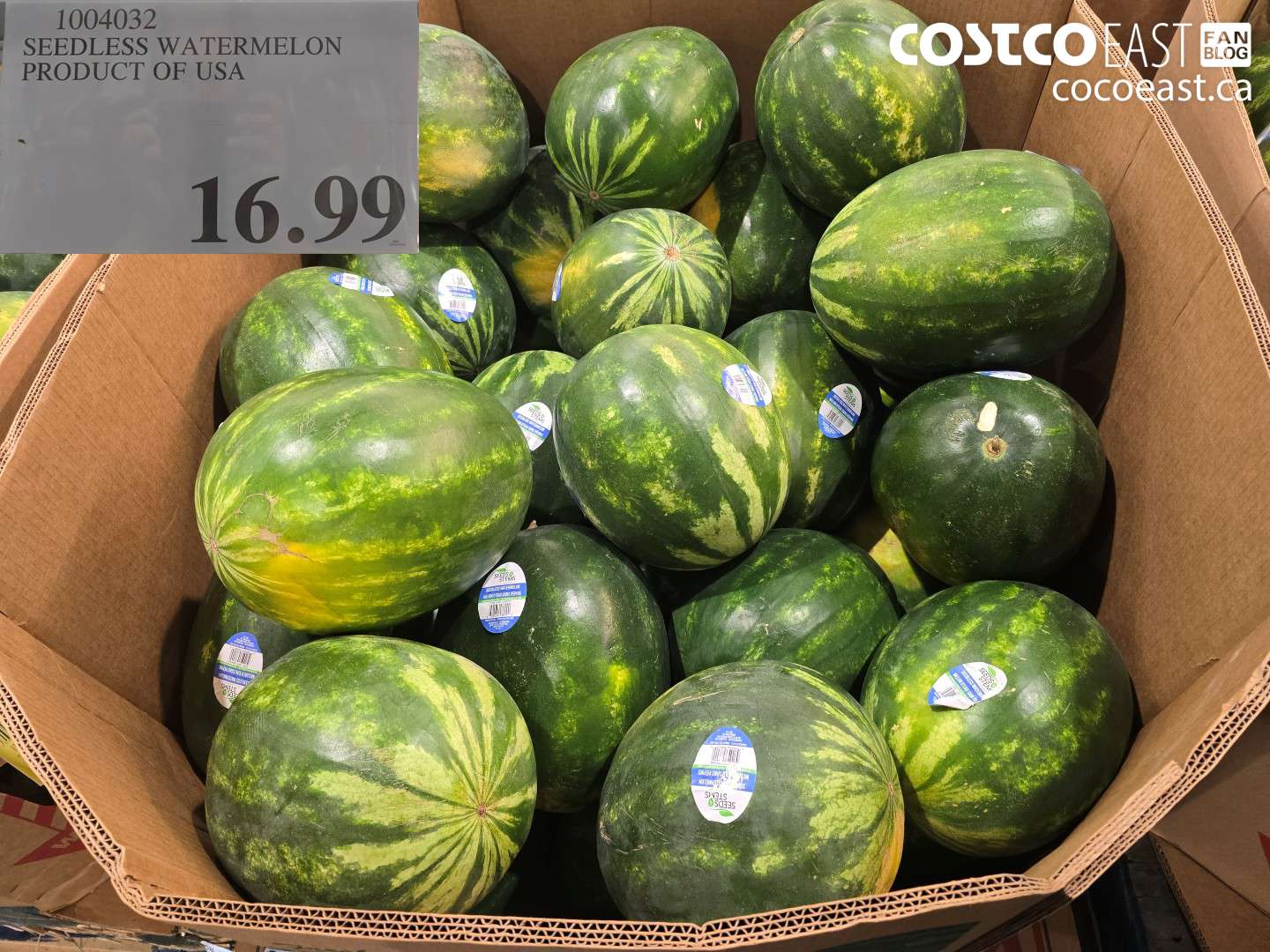 1004032 SEEDLESS WATERMELON PRODUCT OF USA $16.99