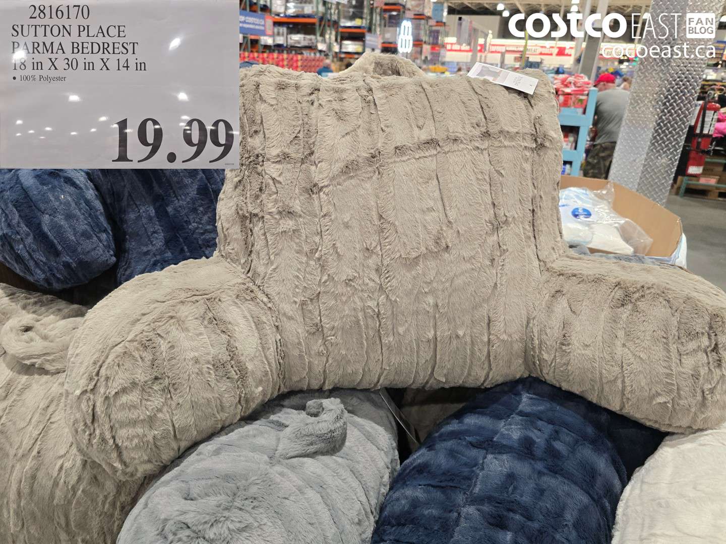 2816170 SUTTON PLACE PARMA BEDREST 18 IN X 30 IN X 14 IN $19.99