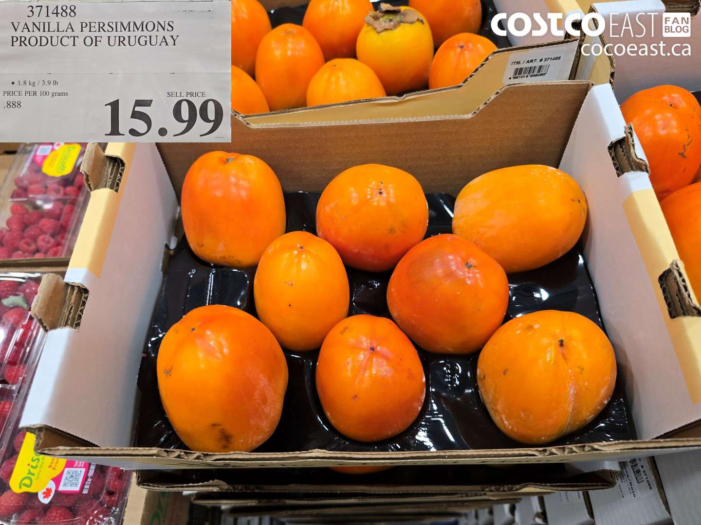 371488 VANILLA PERSIMMONS PRODUCT OF URUGUAY $15.99