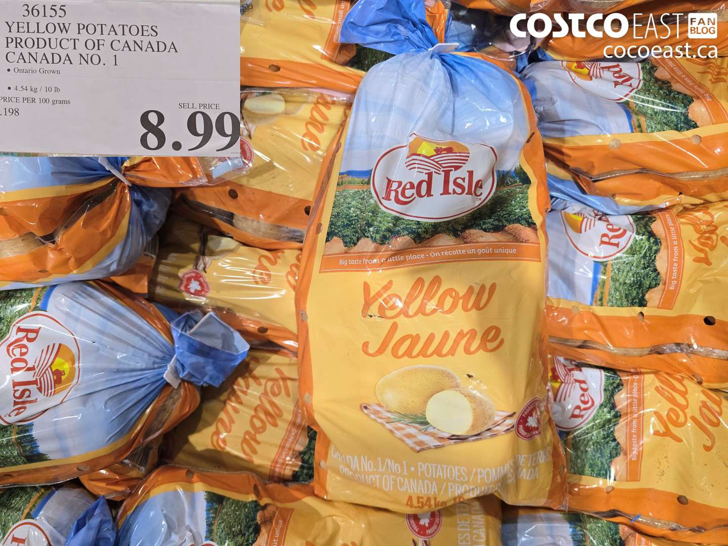 36155 YELLOW POTATOES PRODUCT OF CANADA CANADA NO. 1 4.54 KG / 10 LB $8.99