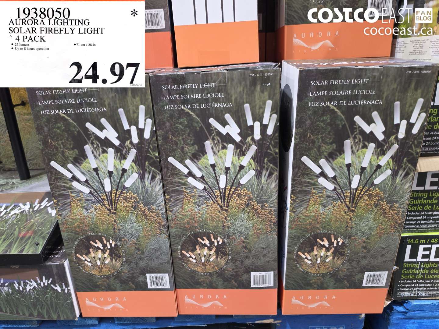1938050 AURORA LIGHTING SOLAR FIREFLY LIGHT 4 PACK $24.97