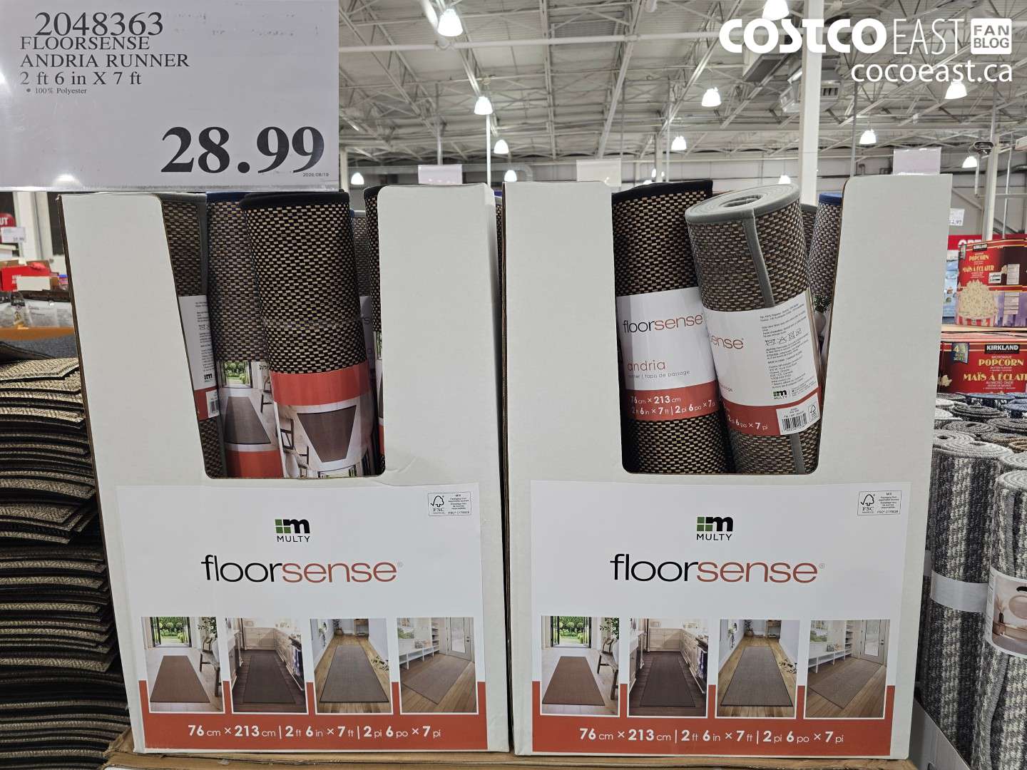 2048363 FLOORSENSE ANDRIA RUNNER 2 FT 6 IN X 7 FT $28.99