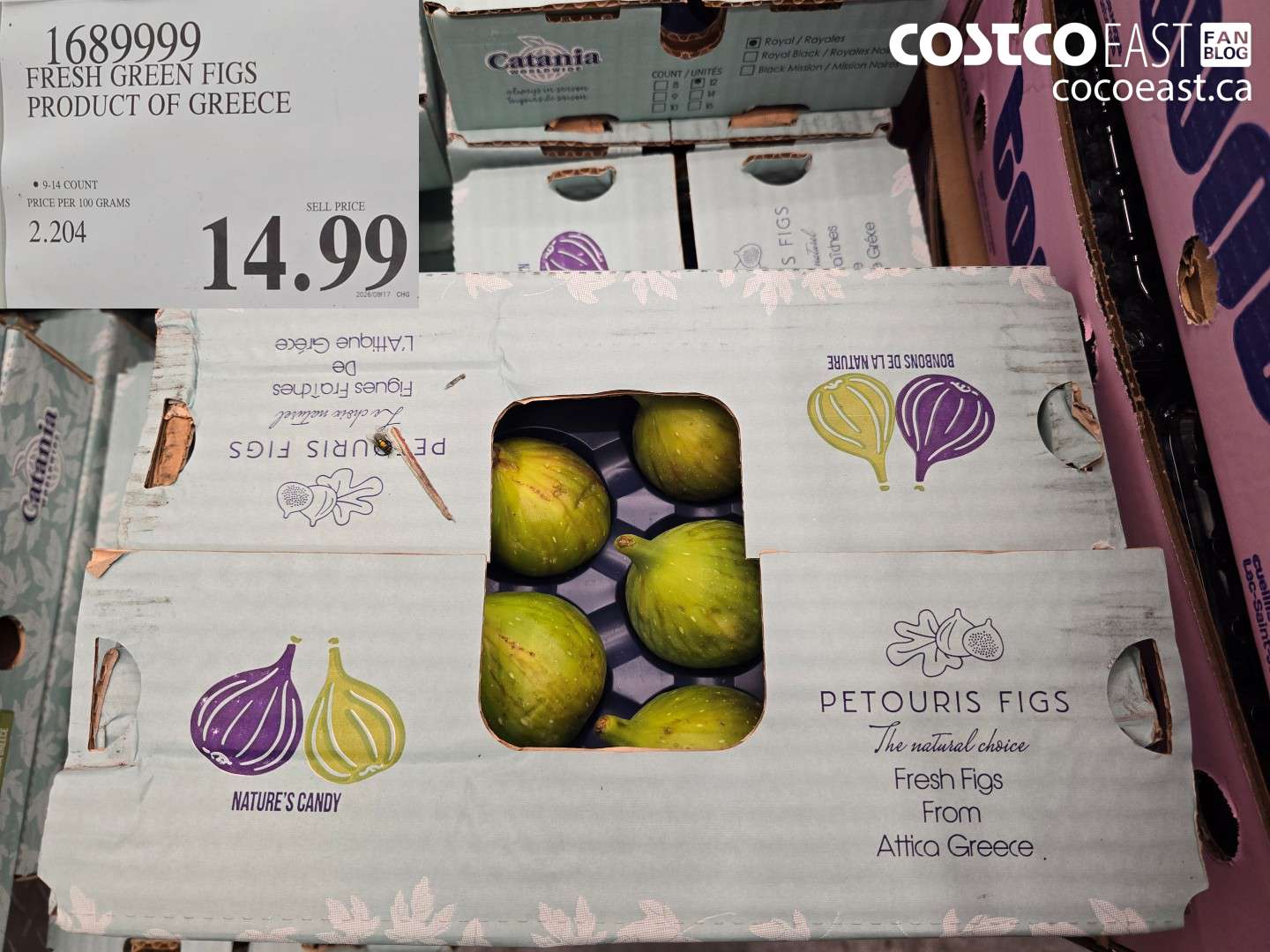 1689999 FRESH GREEN FIGS PRODUCT OF GREECE $14.99