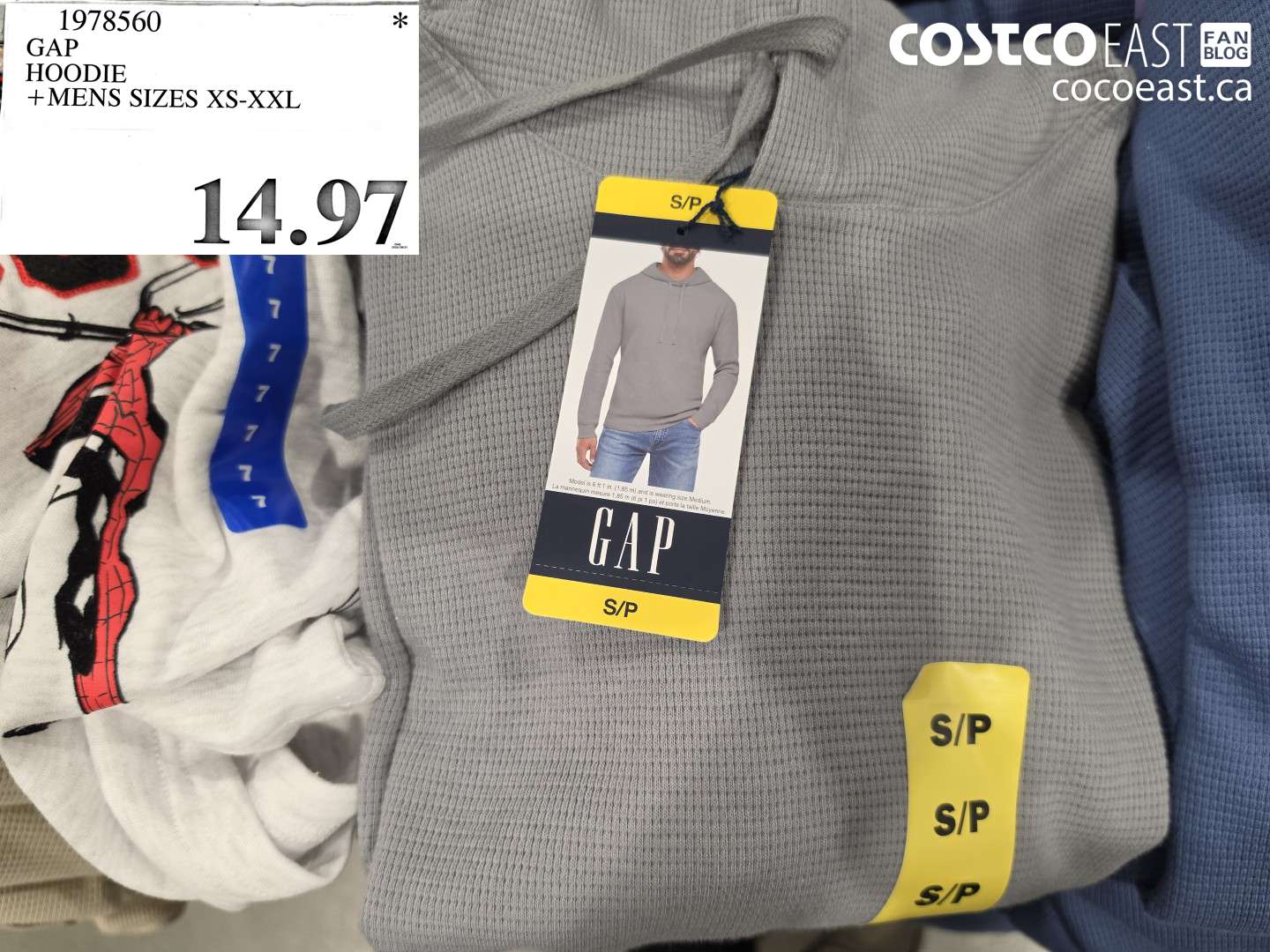 1978560 GAP HOODIE + MENS SIZES XS-XXL $14.97