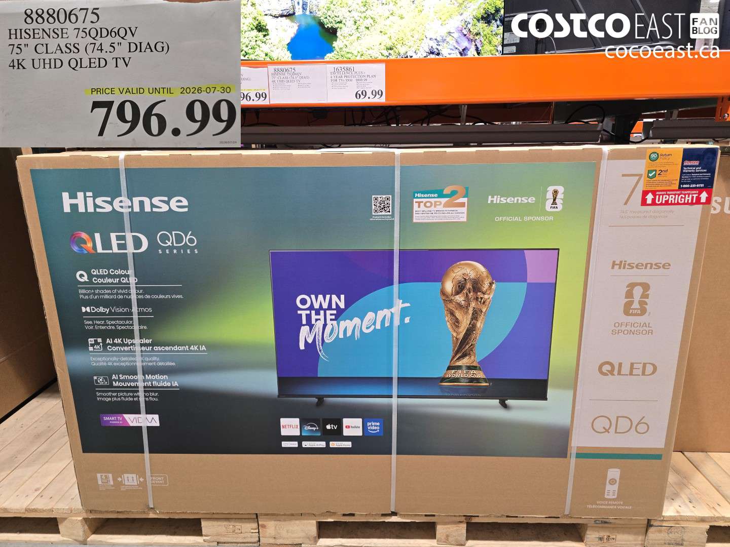 8880675 HISENSE 75QD6QV 75