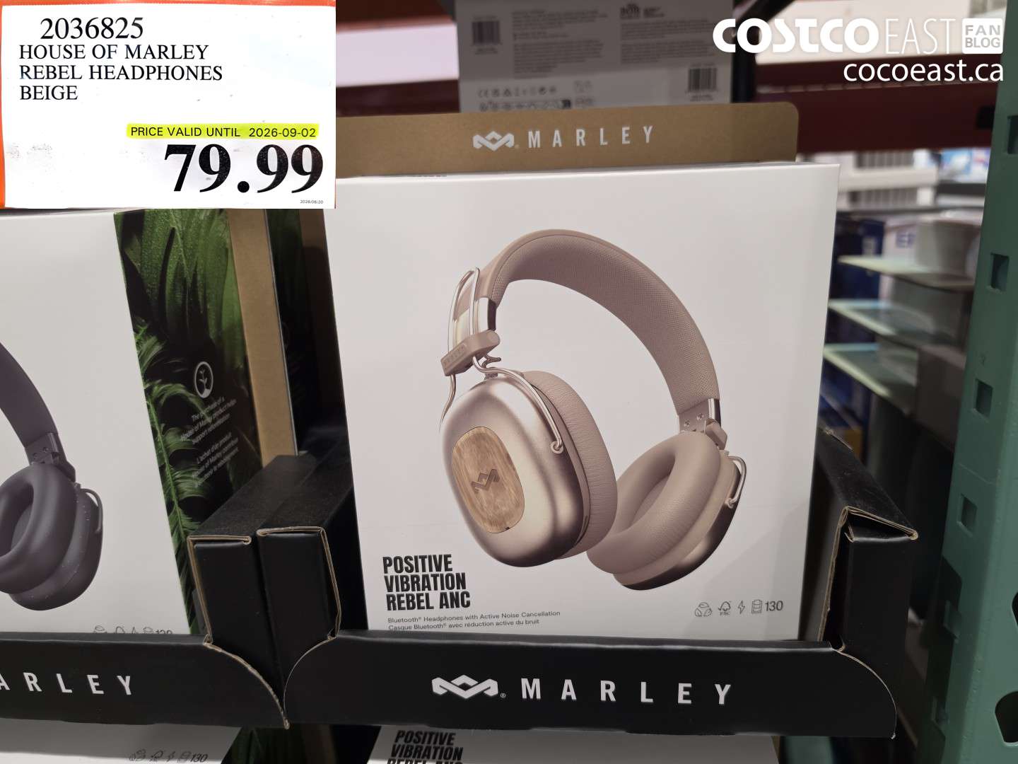 2036825 HOUSE OF MARLEY REBEL HEADPHONES BEIGE $79.99