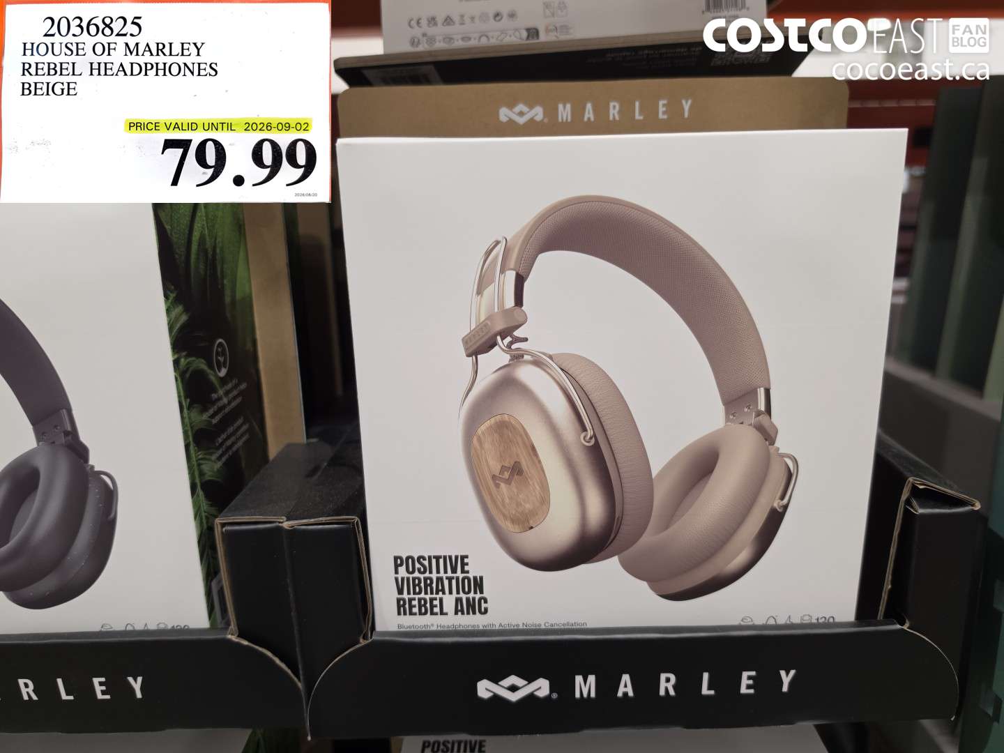 2036825 HOUSE OF MARLEY REBEL HEADPHONES BEIGE $79.99